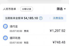 围场为什么选择专业追讨公司来处理您的债务纠纷？