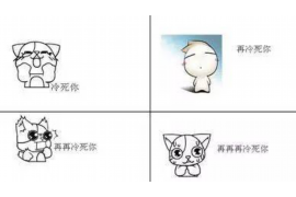 围场围场的要账公司在催收过程中的策略和技巧有哪些？